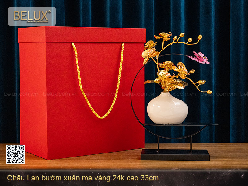 Chậu Lan Bướm Mạ Vàng